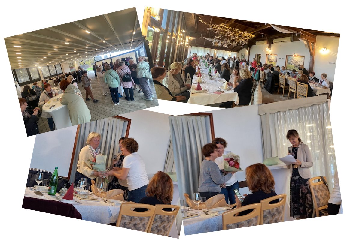 Zbor društva in konstanjev piknik